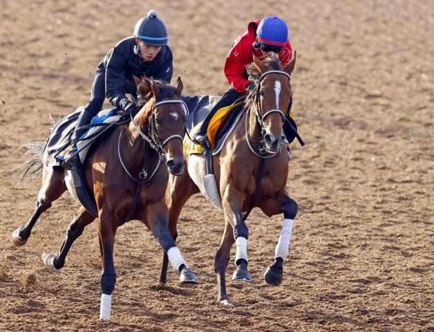 ڥ를¹աܹǰ2Υۡ꡼Ȥž޽Vءͺ귽ǤäϤĤƤ