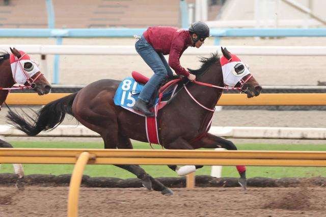 ڤߤ䤳SեС󥰤2塡ȥåȤ饿ȥ˸Ӥ䤫ꡡرġˤĤơɤޤǴ뤫