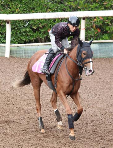 ư2Сۥǥ磻2Υȥޥʼ˥˥GPܻؤ