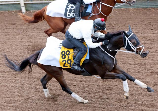 ڤߤ䤳Sۥ֥ϡȥܥɤBC饷åƤκȽ饿ȥֺǽ餫饪ץϤȻפä