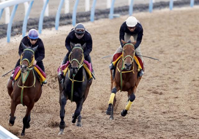 ڥꥶ٥ա1ۥ祯WǤ3ƬʻǤäʻĴաƻ⤷ޤɤơ