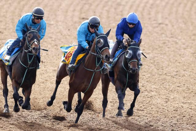 ڤߤ䤳S©᤭֤ڥꥨW3Ƭʻǹסֺν´ƧޤƤĩפȹĴ