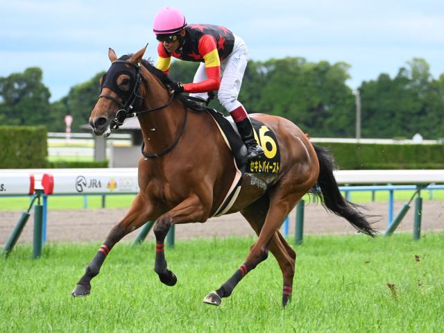 ͭϾۥȥХȤGIظ޾徺/ϻϺΤĤ֤䤭