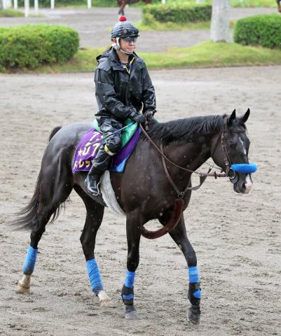 ưۺǯ2ƱΥɥåĥ2ǯϢ³ǥѥC˻