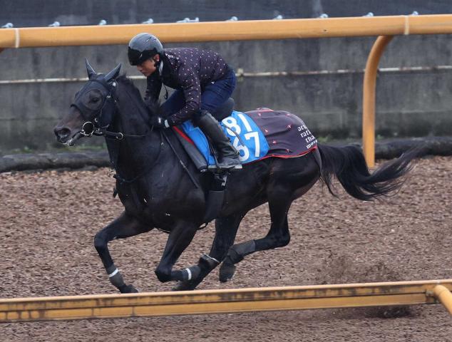 ڤߤ䤳Sۥɥưرġͽ̤פ5F681