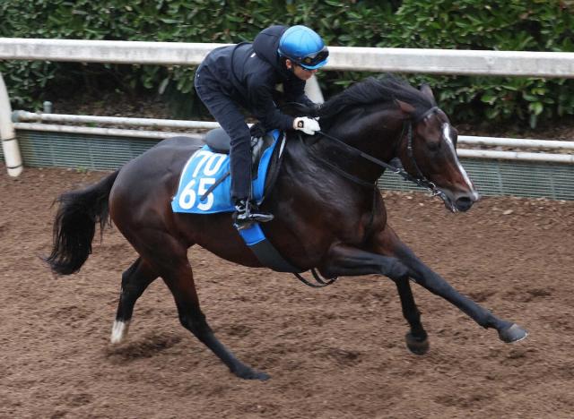 ڤߤ䤳Sۥ륷祦󡡹VƮ֡ϩ4F547ǹ