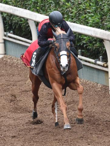 ڵ2SۥɥΥåȡϩǷڲ4F526ֽĴס麸ⴿ