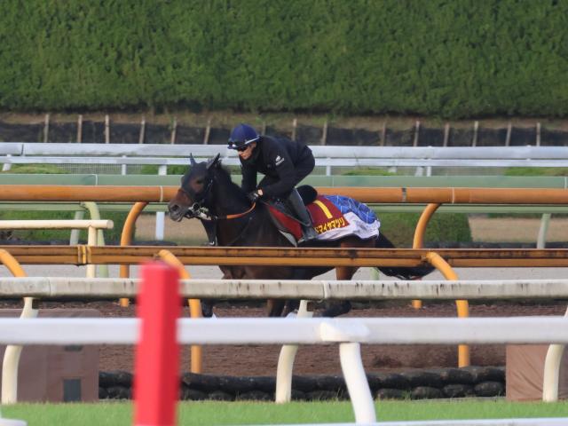 ɥޥޥĥꡢꥶ٥1ɤڤ®/ȥ쥻˥塼