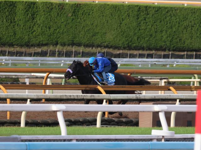 ޥå󥺡ޥCS2ɤڤ®/ȥ쥻˥塼