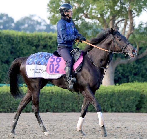 POG۷ϥߥ顼Υ뤬狼鹥ءĴա˥ݥƥ󥷥Ϥ⤤