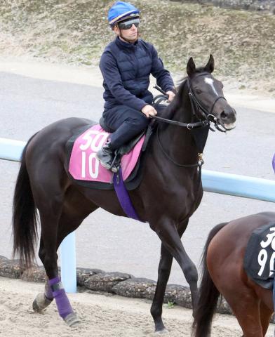 POGȾ줬žޥۡɷϥɥޥ䥷餬ǥӥ塼ͧƻĴաΤϾưϤ