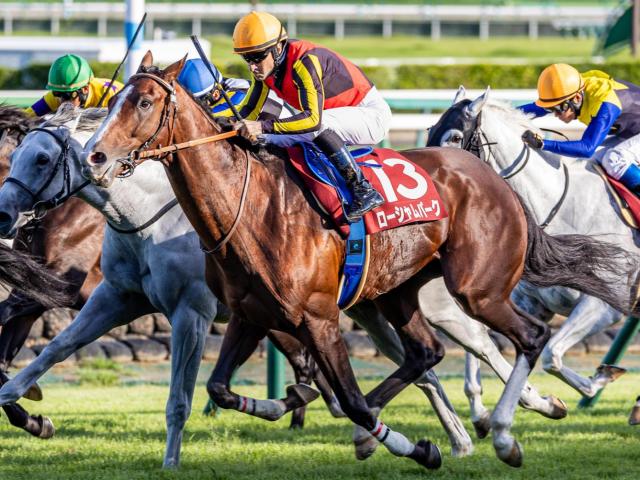 【AR共和国杯】過去10年で7勝 圧倒的ノーザンファーム勢の中で存在感放つ"非ディープ系"