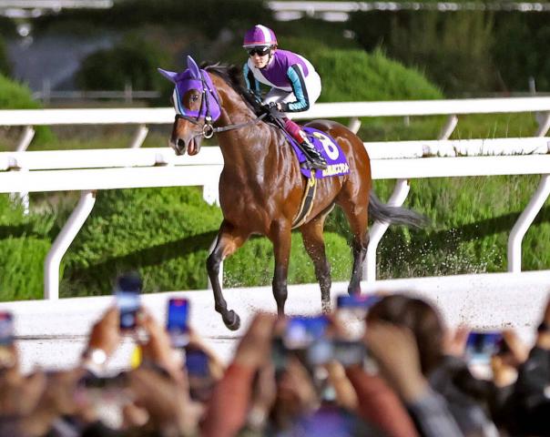 ʼ˽°ϽJpn1ʥĶϾǰ༰ĥʡޡƤɥޤ봶