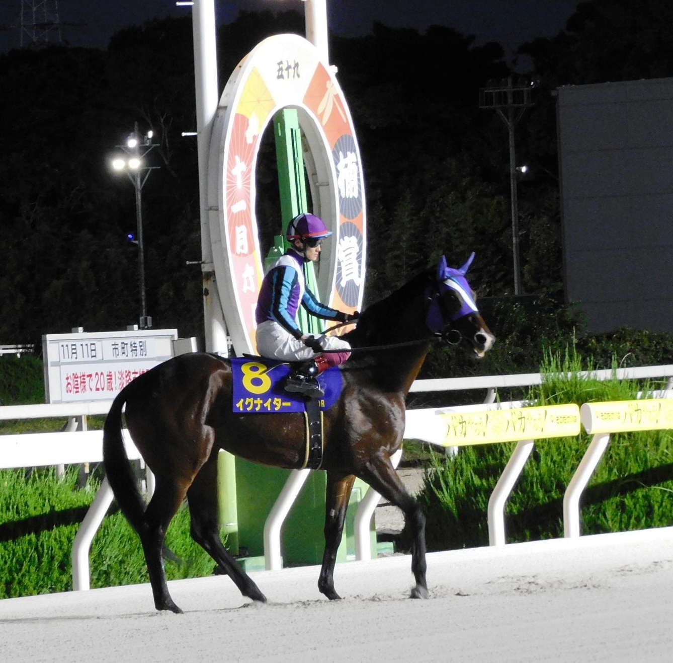 【地方競馬】２年連続ＮＡＲ年度代表馬のイグナイターが引退式