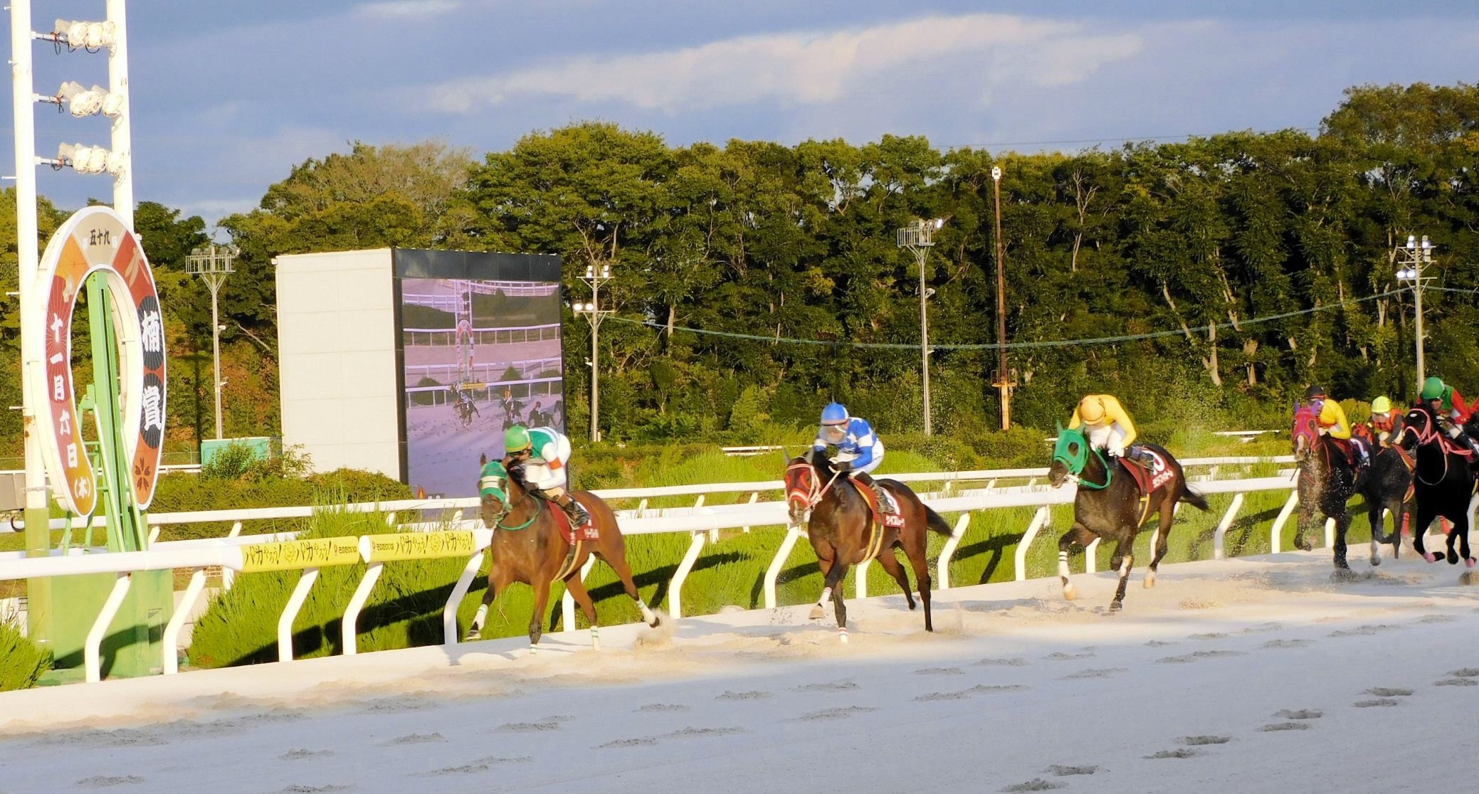 【地方競馬】デイリー杯楠賞　川崎のホーリーグレイルが重賞２勝目