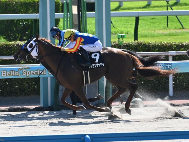 ڤߤ䤳Sͽۡι̤͡Ƿäޤ줿Ȥװ!? η⶯Ͽ䤻ʤ͵