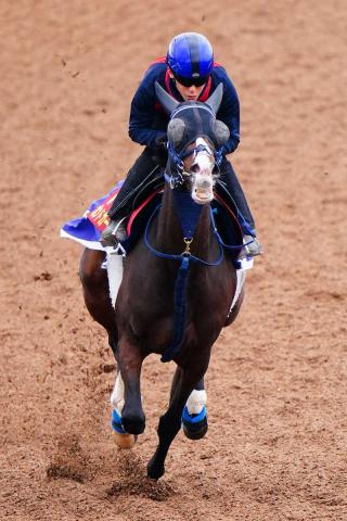 【エリザベス女王杯1週前追い】ボンドガール迫力の1F11秒7!新コンビ津村「行きたがるけどいい馬」