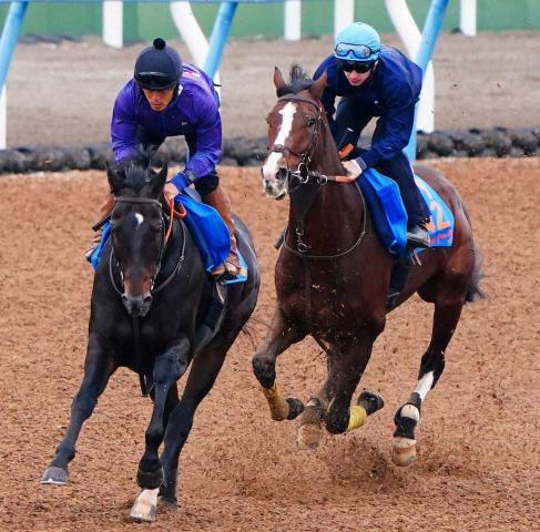【アルゼンチン共和国杯】ローシャムパーク　初コンビのプーシャン背に伸び上々!