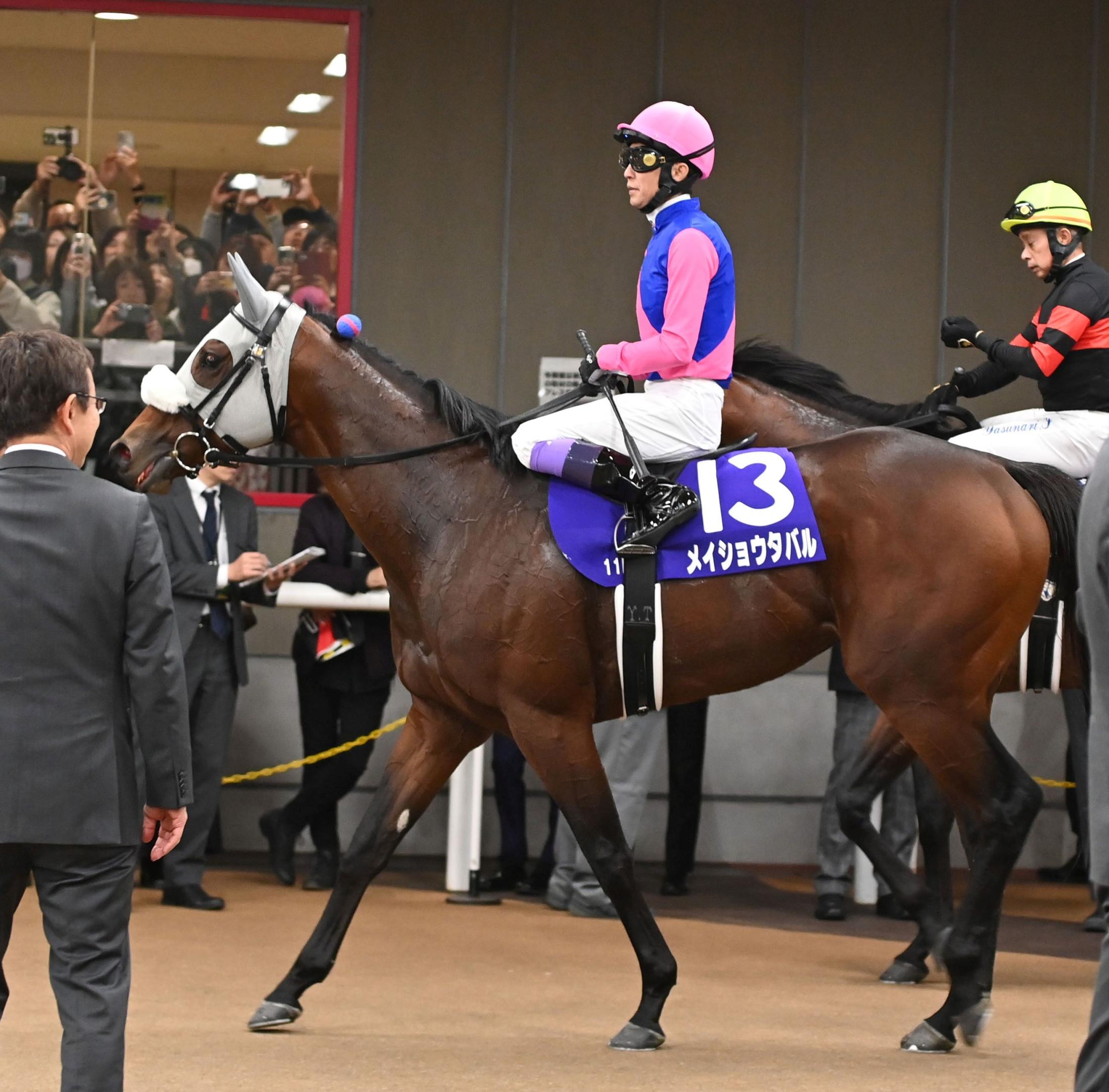 メイショウタバル　武豊で有馬直行へ　石橋師「２週間ほど放牧して、有馬記念も（天皇賞・秋と）同じような感じで行けたら」