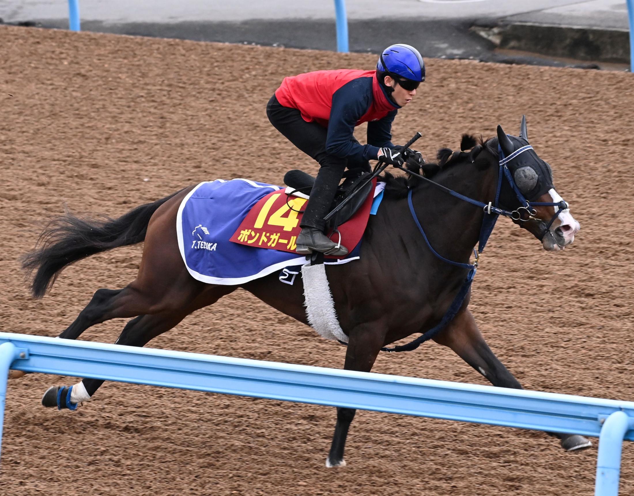 【エリザベス女王杯】ボンドガール　気性は許容範囲　手塚久師「上がり時計がかかって差し脚が生きる形になってくれれば」