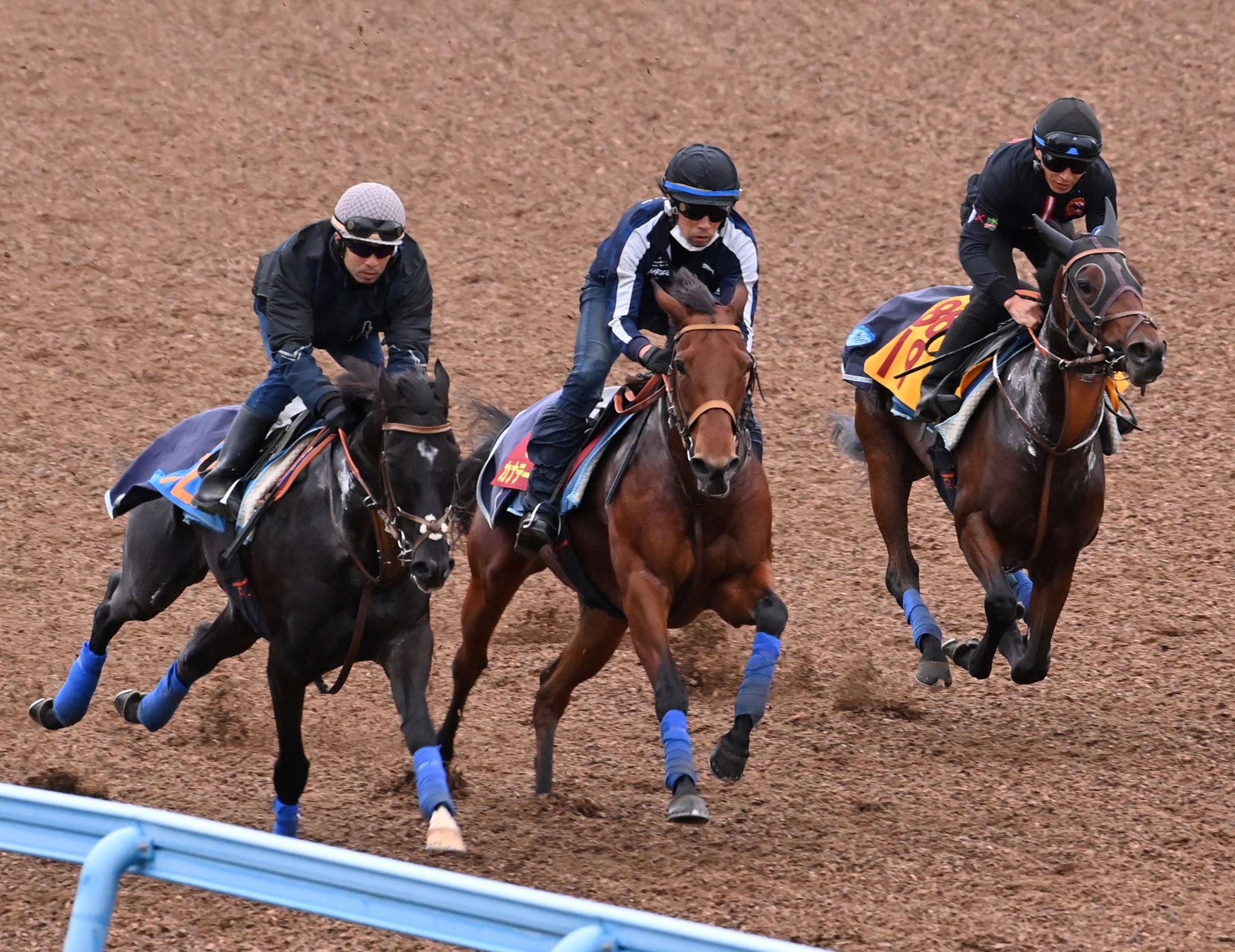 【エリザベス女王杯】カナテープ　無理せず好状態　堀師「馬なりの追い切りで、無理をせずに速いラップを出すことができた」