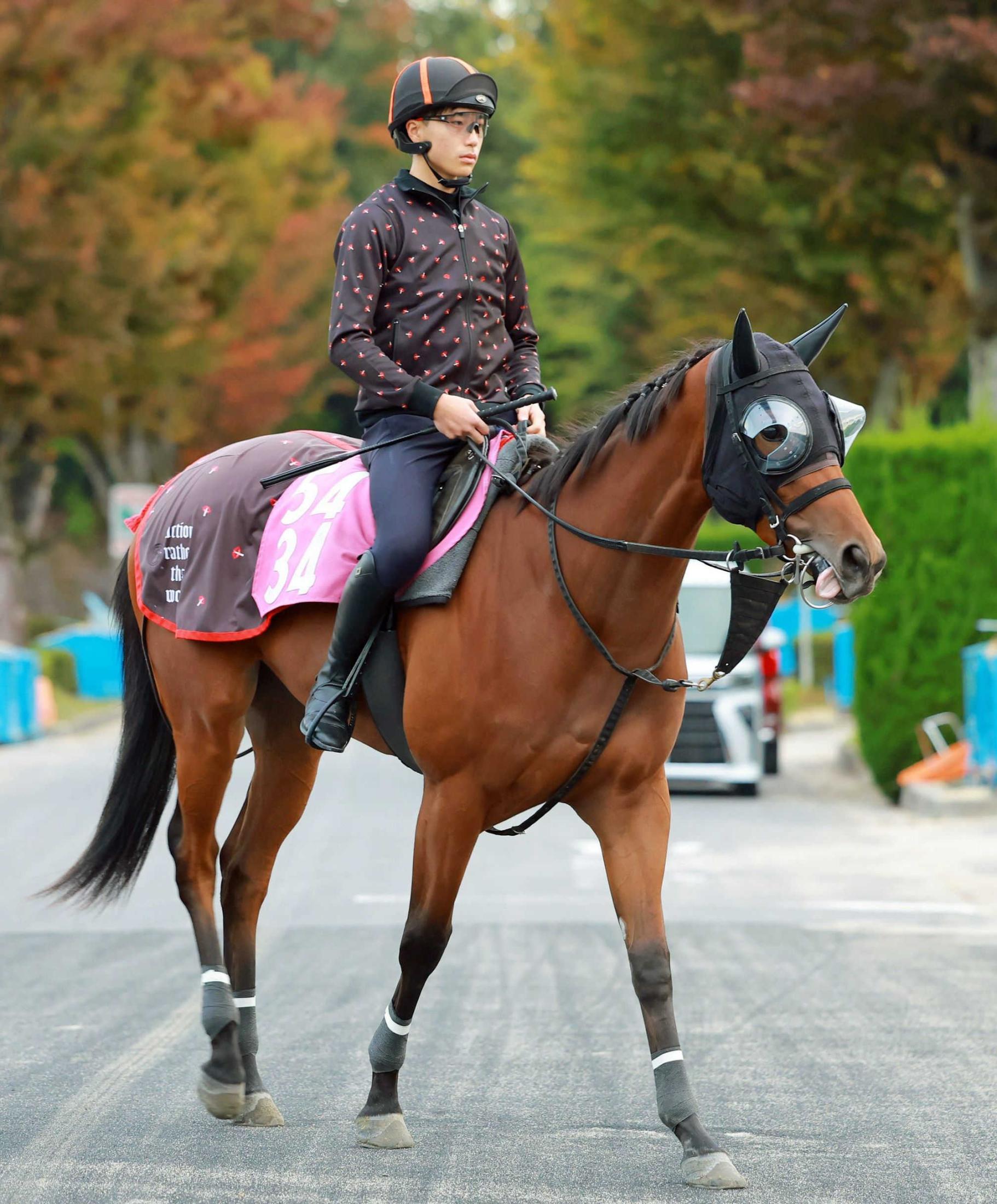 【新馬戦】フレッチャアズーラ　反応の良さで初陣狙う　兄はトゥードジボン　四位師「兄とはタイプが違う。少しピリピリしたところはある」