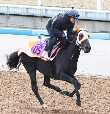 ڵ2Sۡ־̤Ȥäƾ夬äơװƣĴդ⼫å󤬺ǽĴ