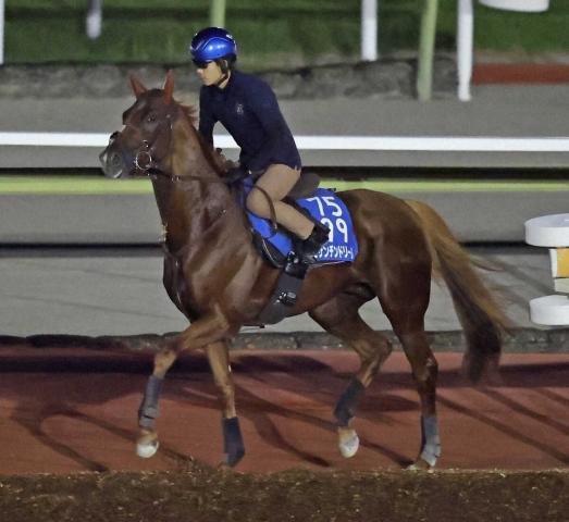 5ӥɥ꡼ࡡ1214ξԼ!塼֥쥢Ϲץ