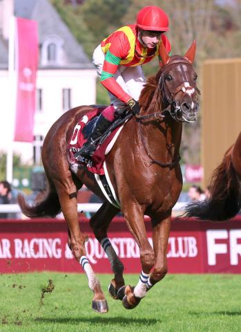 ưۥӥɥ꡼ब塼֥쥢ϹץȤ