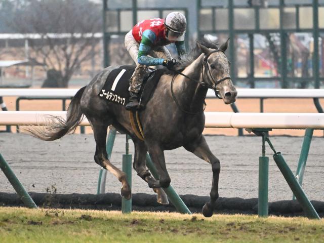 【豪・クイーンエリザベスS結果】ゴールデンスナップは3着と健闘