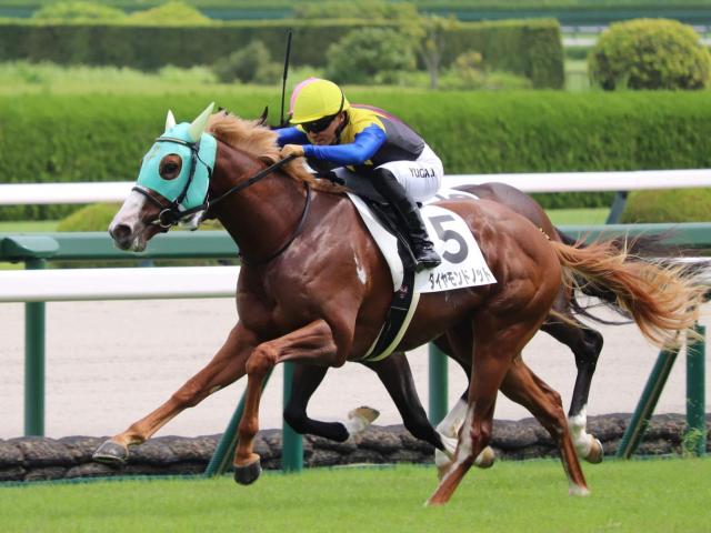 ڵ2Sͽۡ۾夬®ϤӻĤ Ĺľɬ