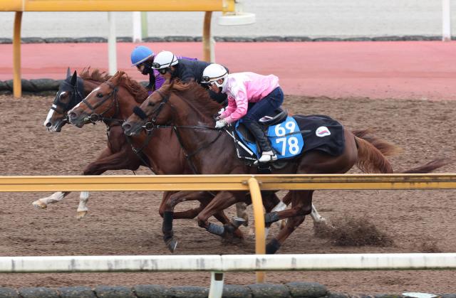 ڤߤ䤳SۥꥦS2Υ󥶥ʥɥϥ㡼פк䡡Ĵաֲ԰¤Ϥʤ