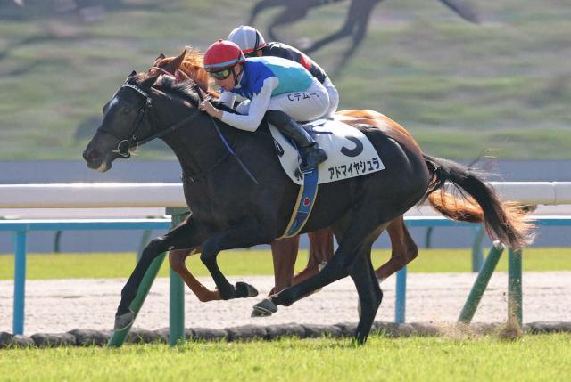 【京都5R・新馬戦】　アドマイヤシュラがV　Cデムーロ「凄く素質を感じる馬」