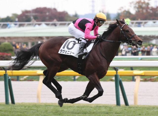 【東京5R】ラヴェニューが5馬身差で新馬V　戸崎「凄く乗りやすい」