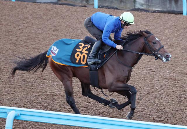 【京王杯2歳S】血統からの狙いはシュペルリング　