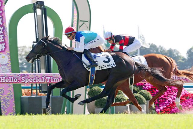 【京都5R・2歳新馬】母も兄も重賞ホースのアドマイヤシュラが勝利　Cデムーロ騎手「すごく上手に競馬してくれた」