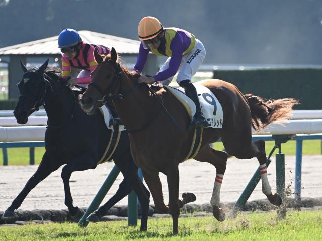 【京都6R新馬戦結果】カリフォルニアクローム産駒コスモレッドが差し切り勝ち