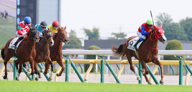 【東京6R・2歳新馬】7番人気のレオアジャイルが横綱相撲でデビューV　岩田康誠騎手「自分の形でレースができた」