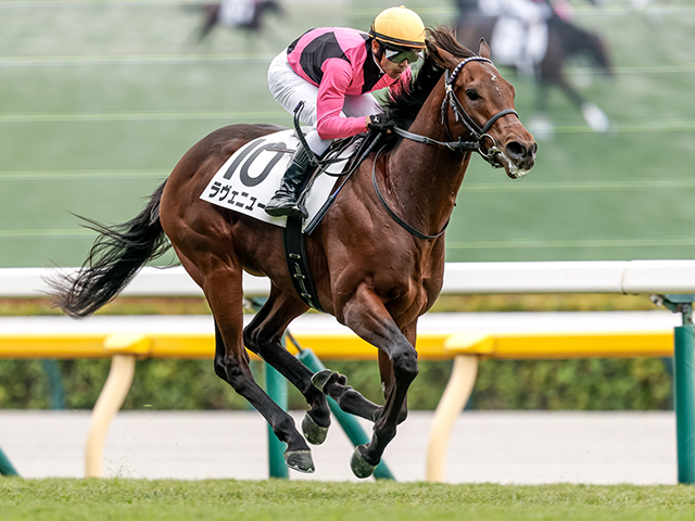 【東京5R新馬戦結果】ロードカナロア産駒ラヴェニューが5馬身差で圧勝