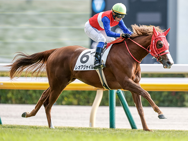 【東京6R新馬戦結果】ダノンスマッシュ産駒レオアジャイルが抜け出し快勝