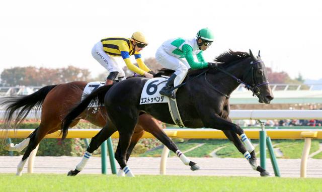 ほぼ馬なりで完勝の3歳牝馬に驚きの反応「幻のオークス馬」「鳥肌立った」　エストゥペンダがようやく2勝目