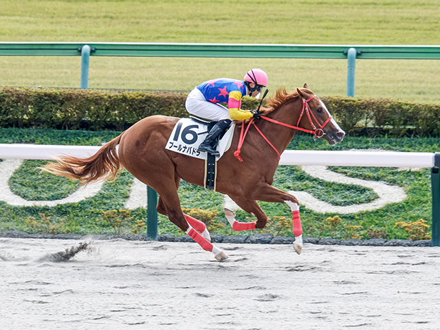 4R̡ۥƥåסʥХɥ餬͵˱ƨڤV