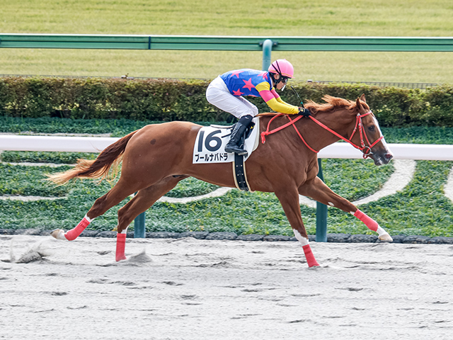 ڥᥤǥӥ塼4R졼女ȡۥסʥХɥɵ