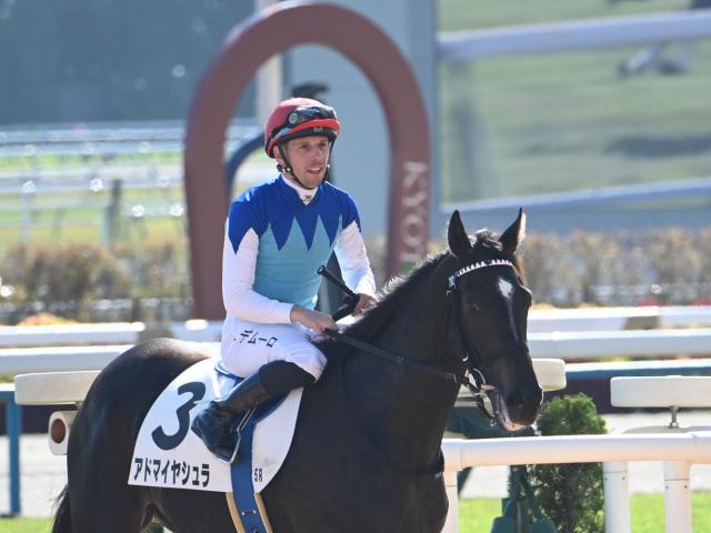 ڥᥤǥӥ塼5R졼女ȡۥɥޥ䥷 C.ǥࡼ