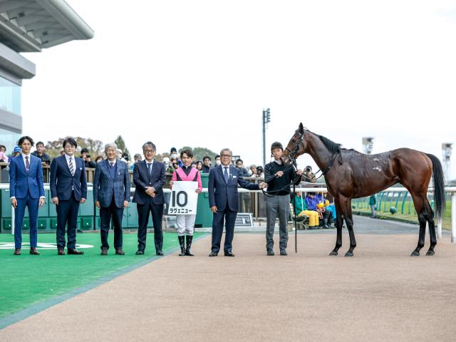 ڥᥤǥӥ塼5R졼女ȡۥ˥塼ͺ귽