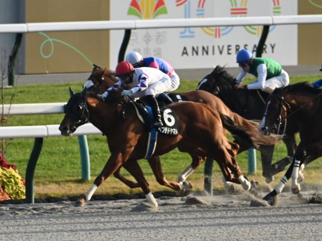 【JRA・WIN5】5レース目のシンガリ人気Vで的中1票！ 配当は3億1248万9940円！