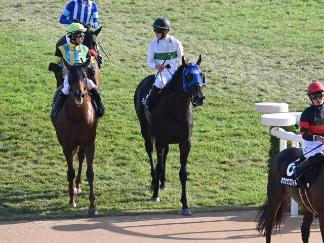 ڵ̥졼女ȡۥ㥹ѡХ¼Ƿ