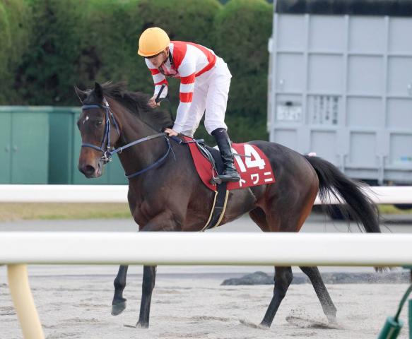 ڵ2S12ֿ͵ȥˤ3塡®ӰФɵֻФ1200᡼ȥϤʤΤǡġ