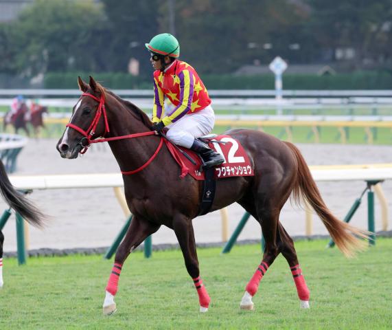 ڵ2S۸ͺ귽꤬Ϣȯ־ס֤ӡ8ֿ͵ե󥷥祦Ʈ2塡