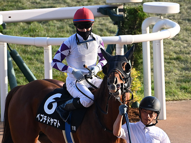 ڼĮS졼女ȡۥڥץɥޥȹǵ